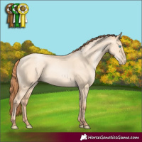 Horse Color:Sable Champagne Pearl Dun
