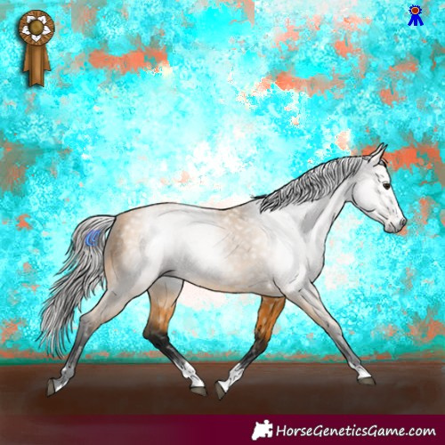 Horse Color:Gray Buckskin 