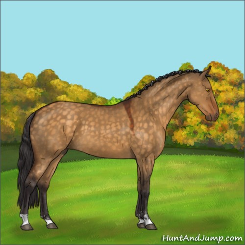 Horse Color:Buckskin Dun Sabino 