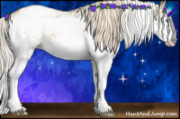 Horse Color:White Spotted Chocolate Palomino Pearl Sabino Splash 