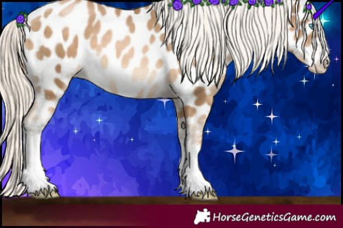 Horse Color:Chocolate Palomino Pearl Sabino Near Leopard 