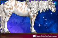 Horse Color:Chocolate Palomino Pearl Sabino Appaloosa 