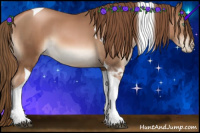 Horse Color:Liver Chestnut Pearl Sabino Tobiano 