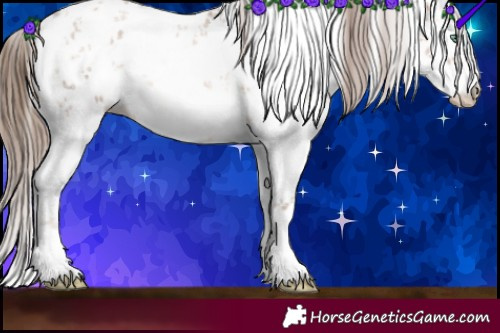 Horse Color:White Spotted Brown Pearl Sabino
