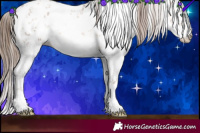 Horse Color:White Spotted Brown Pearl Sabino 