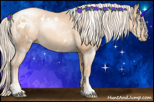 Horse Color:White Spotted Gold Cream Champagne Pearl Sabino Rabicano 