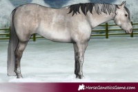 Horse Color:Brown Roan Dun Tobiano Brindle 