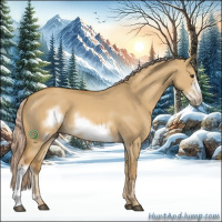 Horse Color:Palomino Dun Frame 