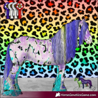Horse Color:Watercolor Plaid Bay Roan Onyx Appaloosa and Watercolor Bay Onyx Appaloosa