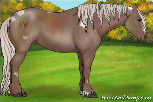 Horse Color:Chocolate Silver Black Sabino 