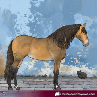 Horse Color:Buckskin 