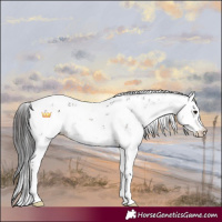 Horse Color:Brown Sabino 