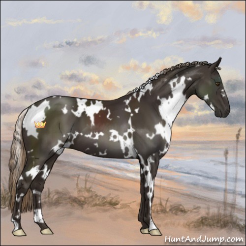 Horse Color:White Spotted Liver Chestnut 