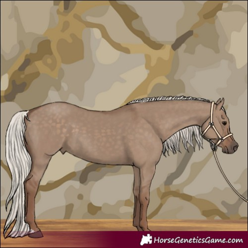 Horse Color:Silver Grullo 