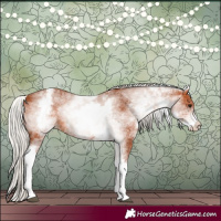 Horse Color:White Spotted Silver Bay