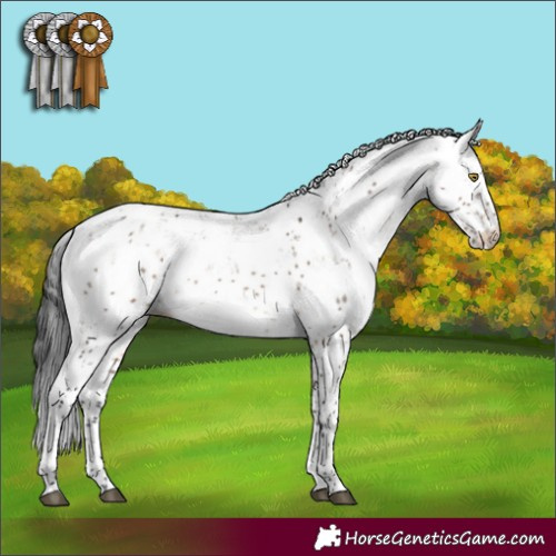 Horse Color:Brown Dun Sabino 