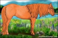 Horse Color:Watercolor Liver Chestnut 