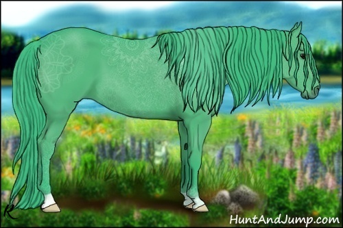 Horse Color:Watercolor Black 