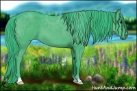 Horse Color:Watercolor Black 