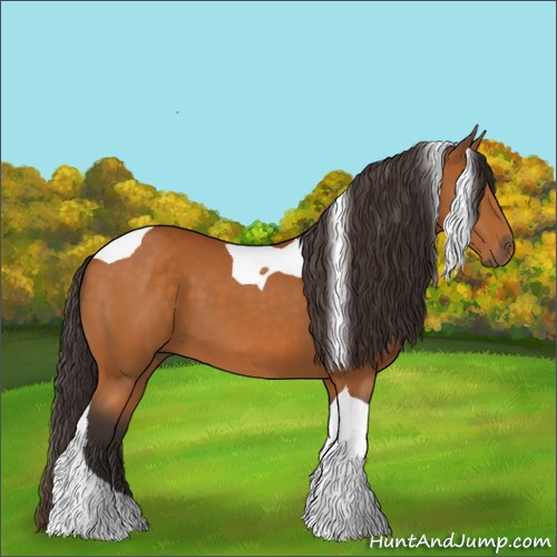 Horse Color:Buckskin Tobiano 