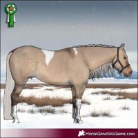 Horse Color:Silver Brown Dun Tobiano Rabicano