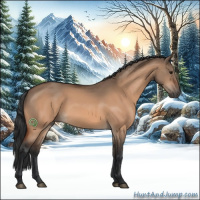 Horse Color:Brown Dun 
