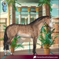 Horse Color:Brown Dun Sabino Brindle