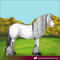 Horse Color:Brown Near Fewspot 