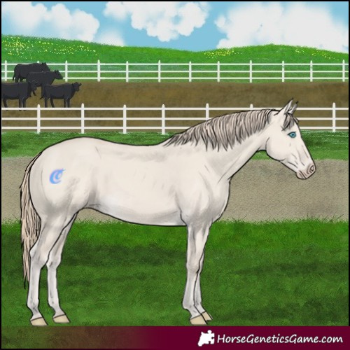 Horse Color:Smoky Creme Dun 