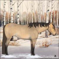 Horse Color:Buckskin Roan Rabicano 