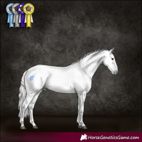 Horse Color:Gray White Spotted Silver Grullo and Gray Silver Grullo Tobiano