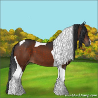 Horse Color:Bay Tobiano 