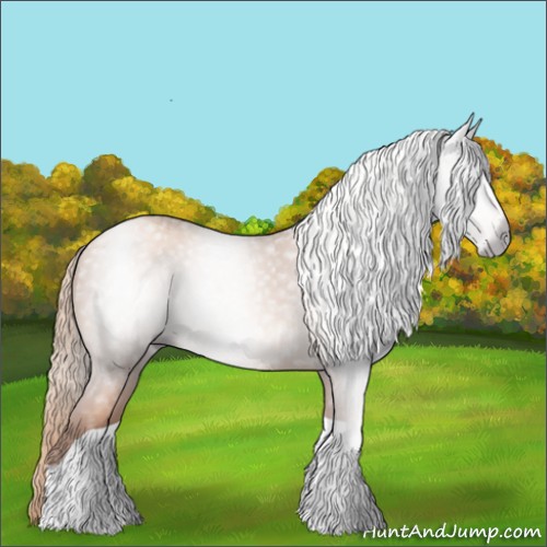 Horse Color:Gray Gold Champagne Tobiano 