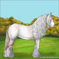Horse Color:Gray Gold Champagne Tobiano 