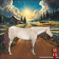 Horse Color:Grullo Pearl Tobiano Rabicano 