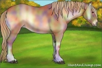 Horse Color:Nacre Red Onyx 