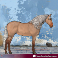 Horse Color:Silver Bay Dun 
