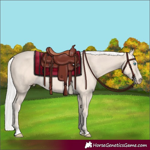 Horse Color:Silver Perlino Rabicano 