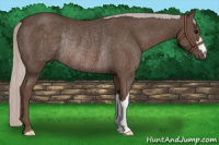 Horse Color:Silver Black Rabicano