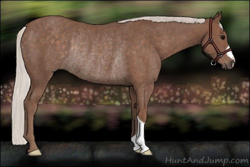 Horse Color:Silver Black Rabicano 