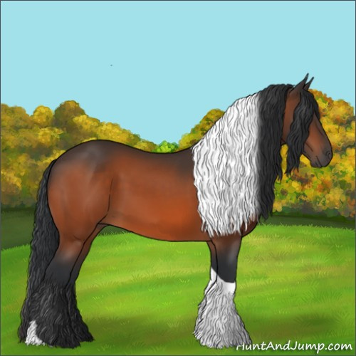 Horse Color:Bay Tobiano 