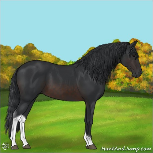 Horse Color:Brown Tobiano 