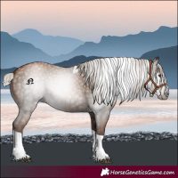 Horse Color:Gray Silver Black Pearl Tobiano 