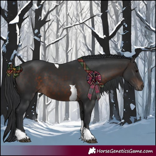 Horse Color:Brown Tobiano 