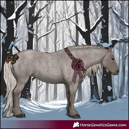 Horse Color:Silver Blue Roan 