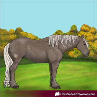 Horse Color:Silver Black 