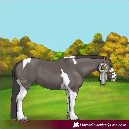 Horse Color:Smoky Grullo Tobiano