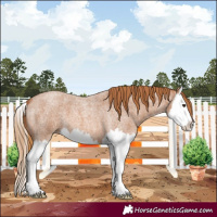 Horse Color:Red Roan Splash 