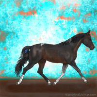 Horse Color:Brown Tobiano 