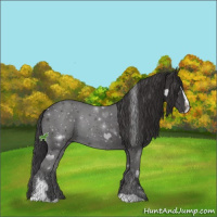 Horse Color:Smoky Black Sabino Rabicano